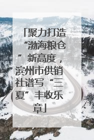 聚力打造“渤海粮仓”新高度，滨州市供销社谱写“三夏”丰收乐章